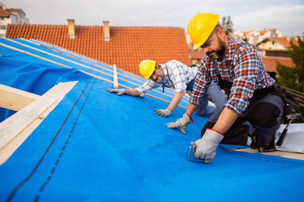 Best Metal Roofing Contractor  in Gower, MO