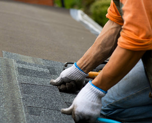 Best Roof Gutter Cleaning  in Gower, MO